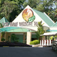 LokKawi Wildlife Park