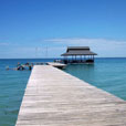 Pulau Tiga (Survivor Island)