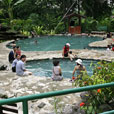 2D1N Kinabalu Park + Poring Hot Spring