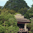 4D3N Kuching City + Semenggoh Orang Utan + Longhouse Safari