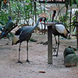 3D2N Langkawi Island & Sea Tour