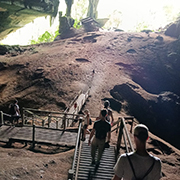 Niah National Park  - Niah Cave + Tusan Beach Tours